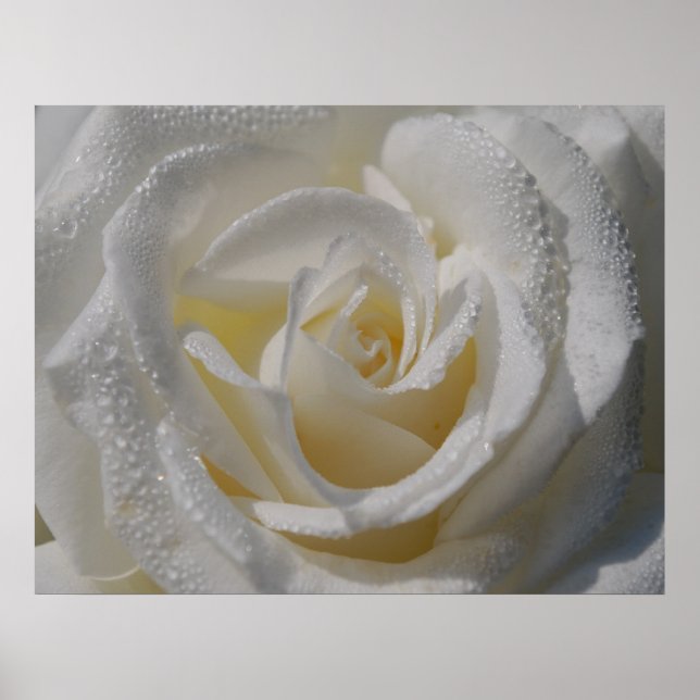 poster 'Pureza' (Frente)