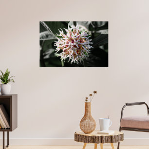 Poster Pureza Radiante: Foto da Flor Orquestrada Branca-b