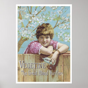 Póster Purificador de Sangue Vegetal