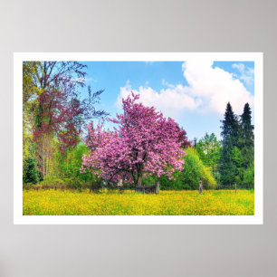 Poster Purple Cherry Tree On Yellow Flower Field