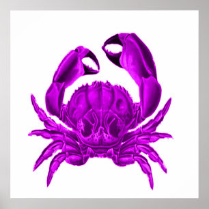 Póster Purple Crab Beach Decor