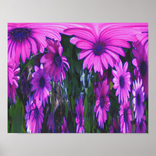 Poster Purple Daisy Flower Fantasy Floral Abstrato Art