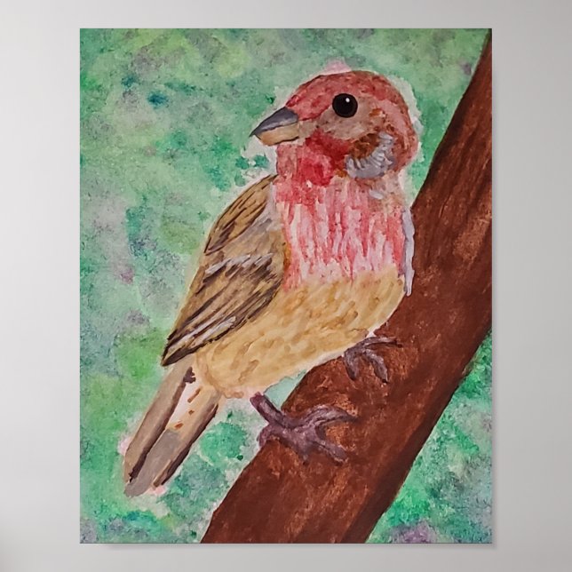 Poster Purple Finch  (Frente)