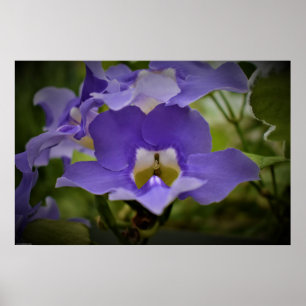 Poster Purple & Green