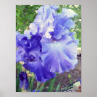 Póster Purple Iris Watercolor