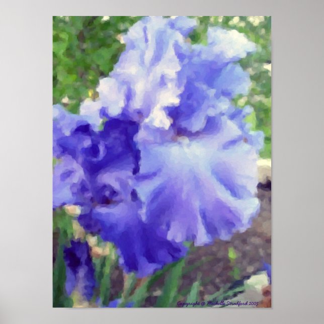 Póster Purple Iris Watercolor (Frente)