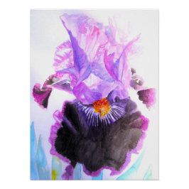 Póster Purple Iris Watercolor Flower Floral Birthday
