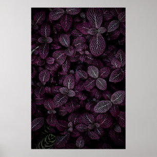 POSTER PURPLE LEAFED PLANT FIELD