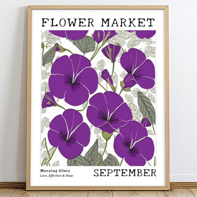 Poster Purple Morning Glory Setembro Nascimento Flower Ma (Criador carregado)