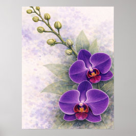 Poster Purple Orchid Duo Flower Botanical 