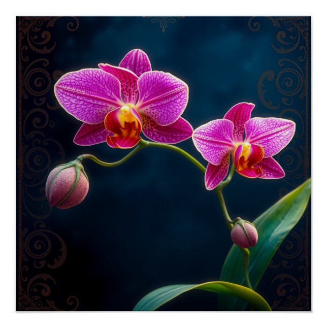 Póster purple orchids (Frente)