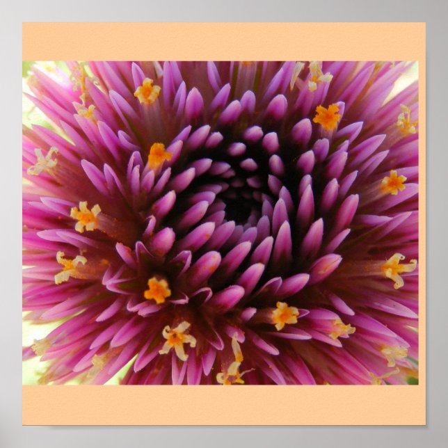 Poster Púrpura (Frente)