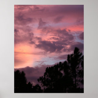 Poster Púrpura e rosa Flórida Sunset sobre Pinheiros