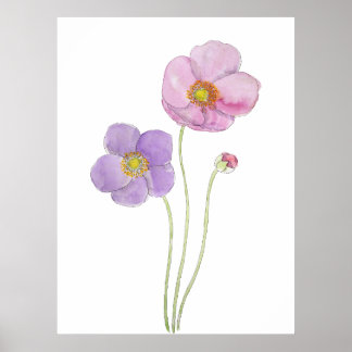 Poster púrpura e rosa pintada à mão flores de cosmos cor-
