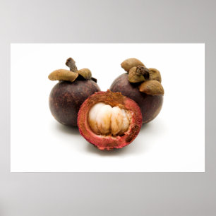 Poster Púrpura Mangosteen