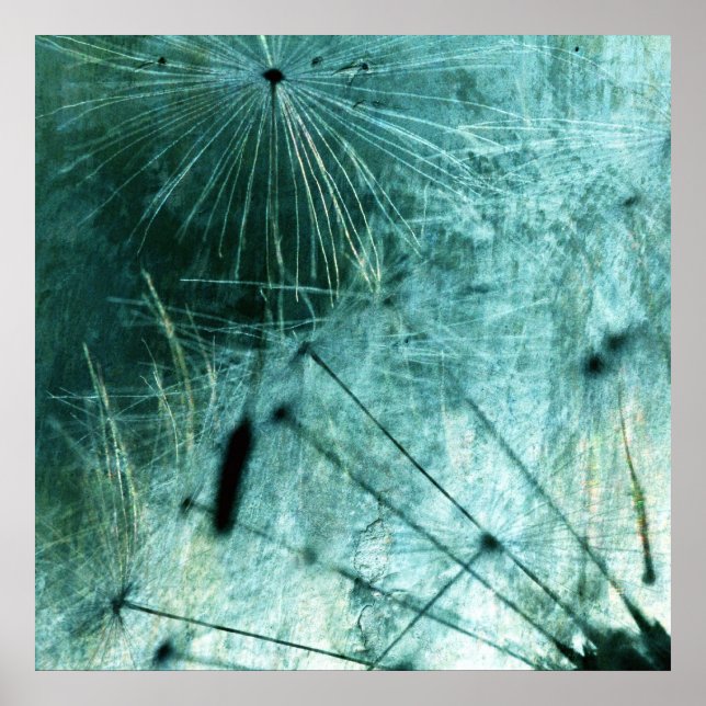 Poster Pusteblume Kunst (Frente)