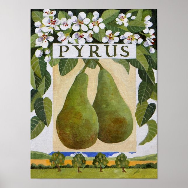 Poster Pyrus (Frente)