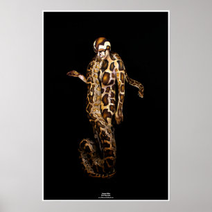 Póster Python por Johannes Stötter