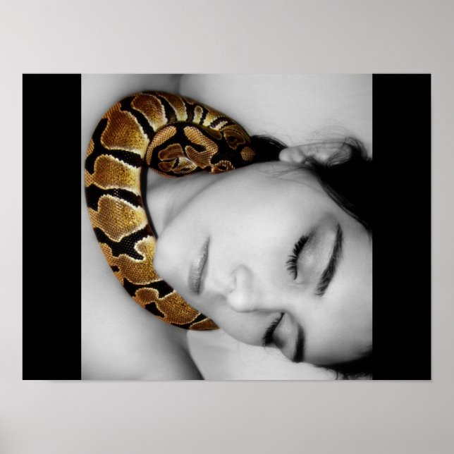 Poster Python's Lullaby (Frente)