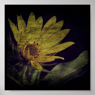 Póster Quadrado de flor selvagem