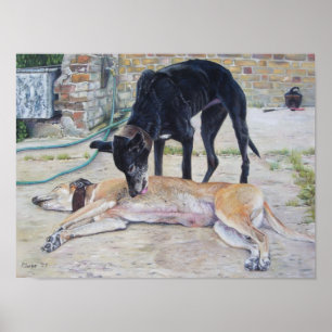 Poster quadro artístico cênico de cães grayhound num q