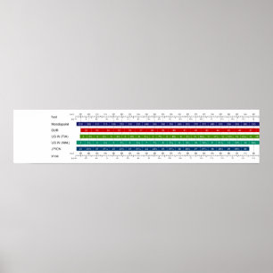 Poster Quadro comparativo do tamanho do Calçado feminino 