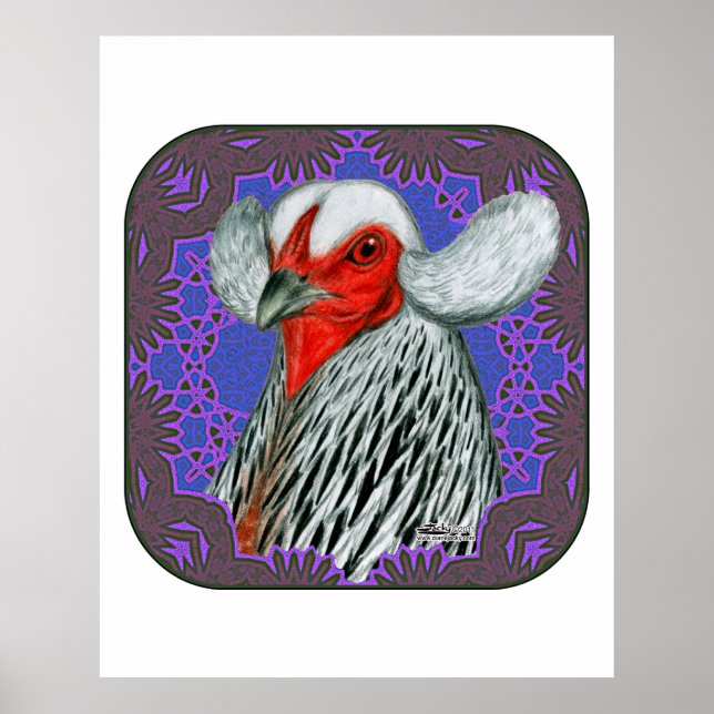 Poster Quadro de Cabeça da Araucana (Frente)