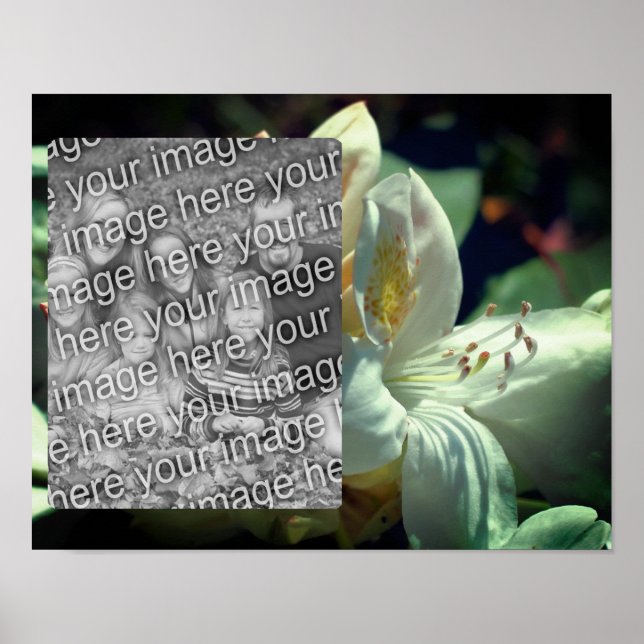 Poster Quadro de Flores Branco Azalea Adicionar Sua Foto (Frente)