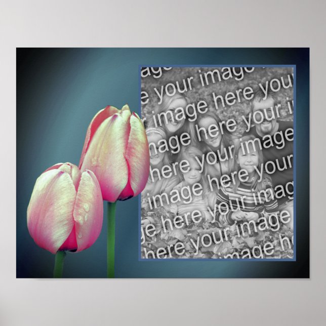 Poster Quadro de Flores de Tulip Rosa Adicionar Sua Foto (Frente)