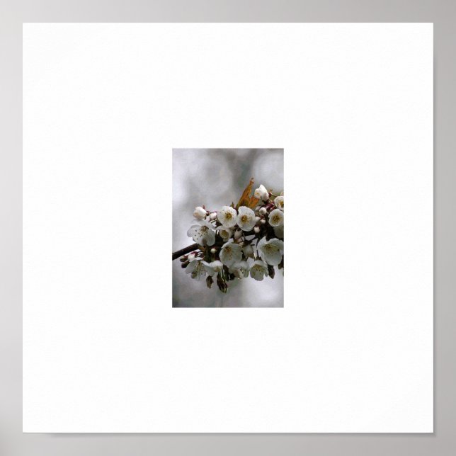 Poster quadro de imagem (Frente)