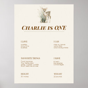 Poster Quadro de Marcos do Primeiro Aniversário da Flores