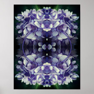 Poster Quadro de Petais da Hydrangea Azul Adicionar Sua F