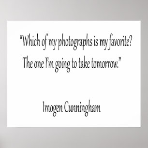 Poster Qual das minhas fotografias é a minha favorita