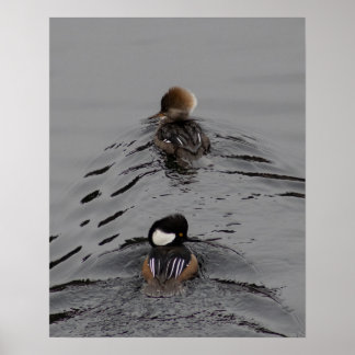 Poster Qual É o Caminho