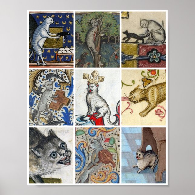 Poster Qual Gato Medieval Você Está Hoje? (Frente)