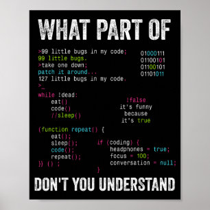 Poster Qual Parte De Você Não Entende Ciência Da Computaç