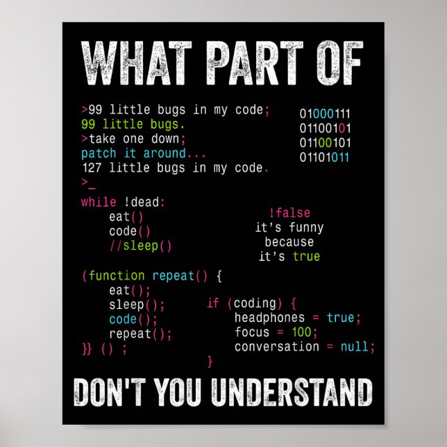 Poster Qual Parte De Você Não Entende Ciência Da Computaç (Frente)