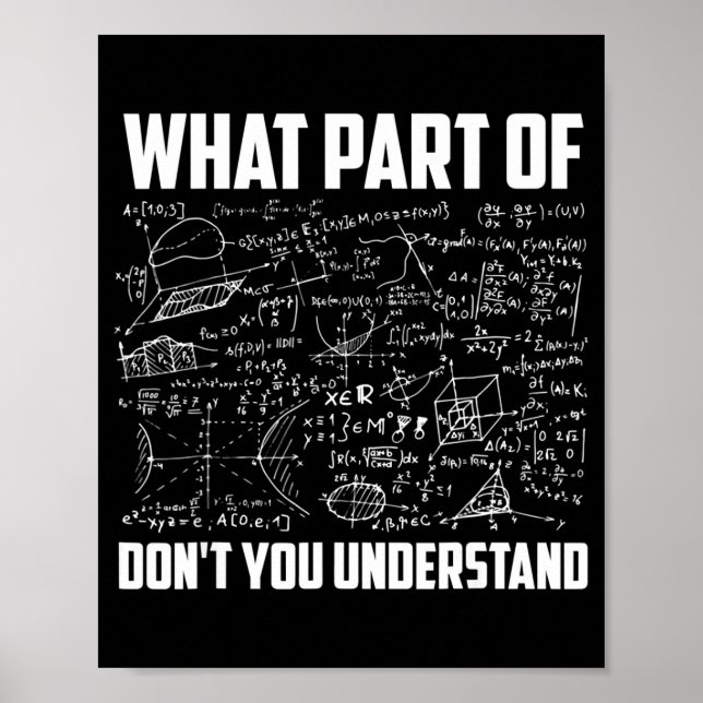 Poster Qual Parte De Você Não Entende Professor De Matemá (Frente)