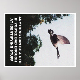 Poster Qualquer coisa pode ser um OVNI (médio)