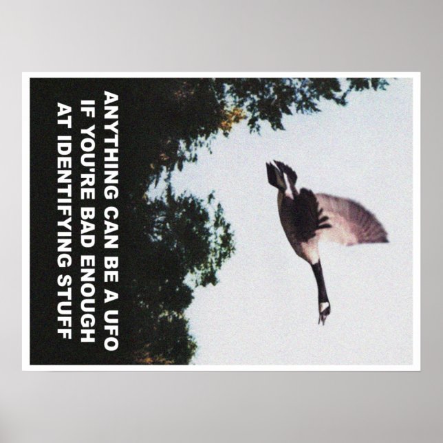 Poster Qualquer coisa pode ser um OVNI (médio) (Frente)