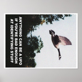 Poster Qualquer coisa pode ser um OVNI (pequeno)