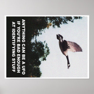 Poster Qualquer coisa pode ser um OVNI (pequeno)