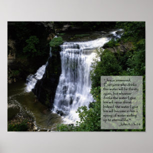 Póster qualquer um que me bebe da água dá-os vai faz4e-