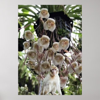 Poster Quando a natureza copia a natureza.