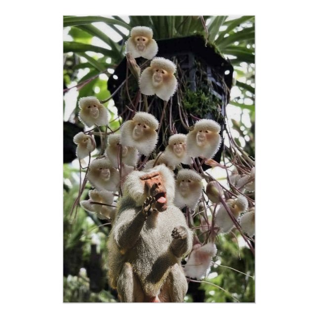 Póster Quando a natureza copia a natureza. (Frente)
