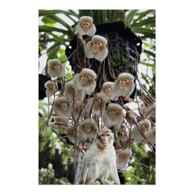 Póster Quando a natureza copia a natureza. (Frente)