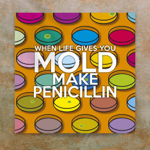 POSTER QUANDO A VIDA LHE DÁ MOLDE FAÇA PENICILINA CIÊNCIA