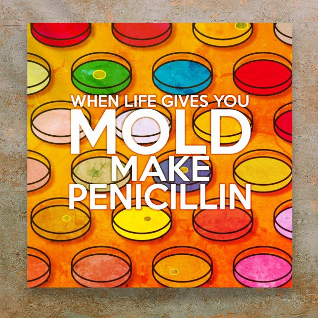 Poster QUANDO A VIDA LHE DÁ, VOCÊ SE MOLDE A FAZER A Arte (WHEN LIFE GIVES YOU MOLD MAKE PENICILLIN Art Poster)