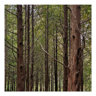 Póster Quando as coisas ficam difíceis, os duros vão