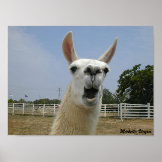 Póster Quando Ataque de Llamas